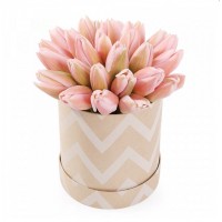 Коробка из 25 розовых тюльпанов